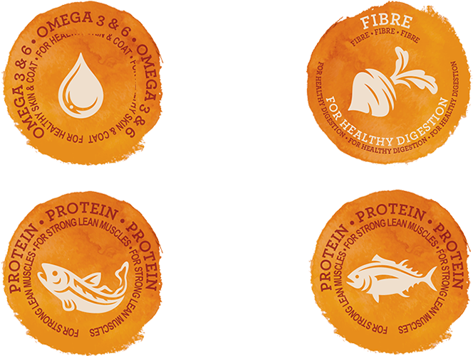 Iams® Eine Lange Tradition - Circle Clipart (820x500), Png Download