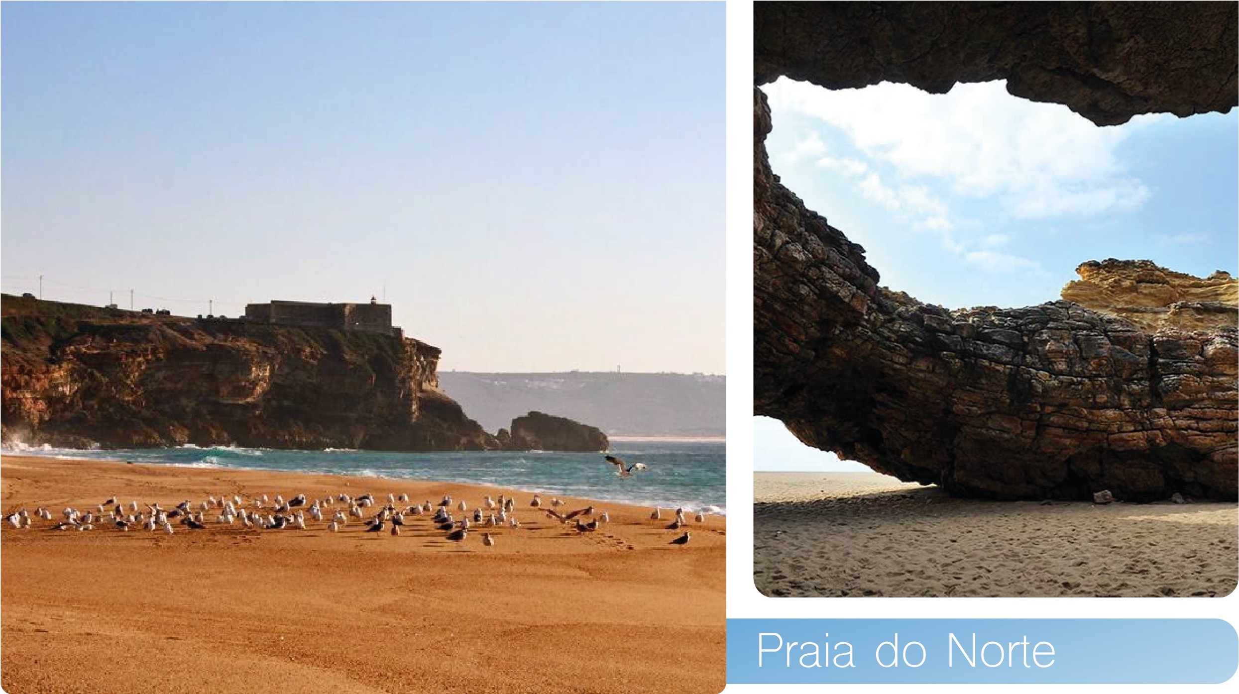 Portugal Realty, Property For Sale In Portugal, Portugal Nazare