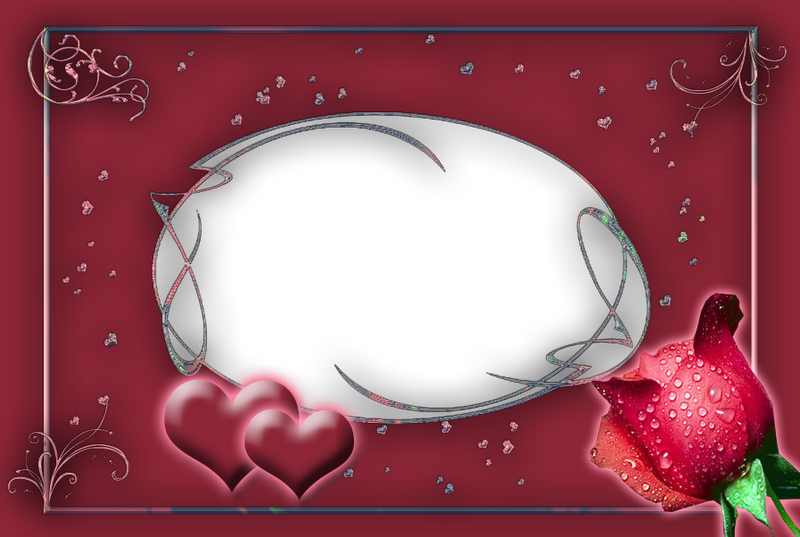 Imagens Molduras Para Casamento, Todas Em Png Em Alta - Rose Clipart (800x537), Png Download