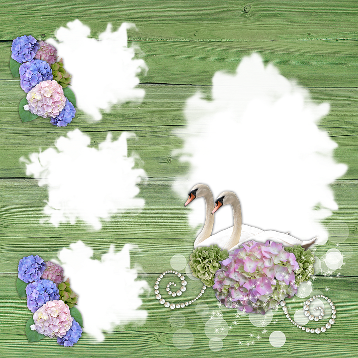 Moldura, Scrapbooking, Casamento, Romance, Verão - Hydrangea Clipart (720x720), Png Download