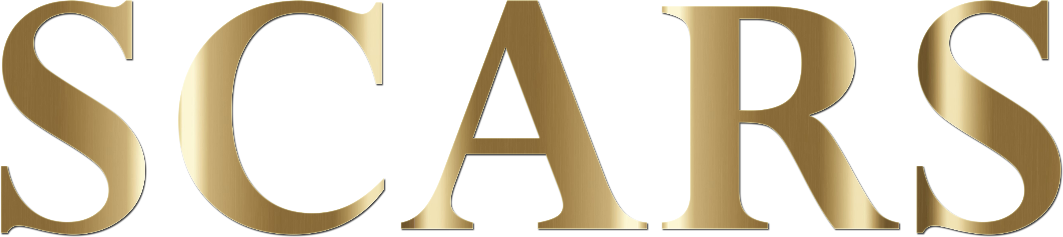 Clip Art - Png Download (3804x1128), Png Download