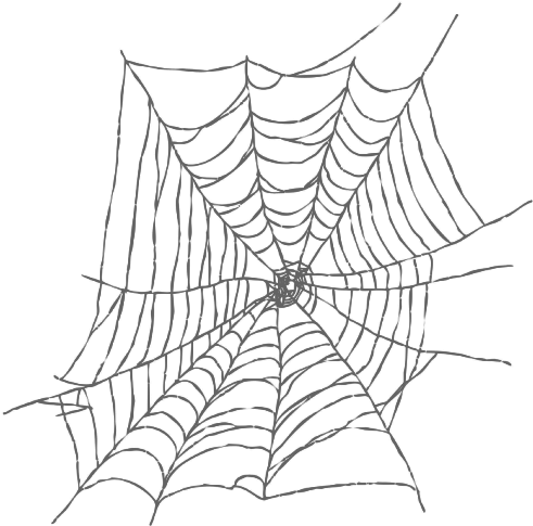 Imagen - Spiderman Web Clipart White - Png Download (600x600), Png Download