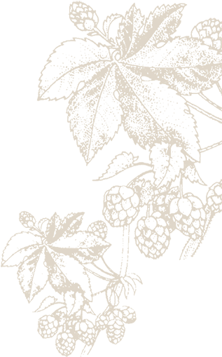 Background Flourish - Drawing Clipart (600x635), Png Download