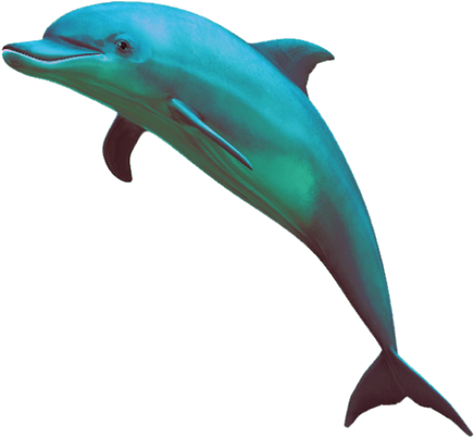 221 Images About // Transparent // Edit // Overlays - Png Dolphin Clipart (500x674), Png Download