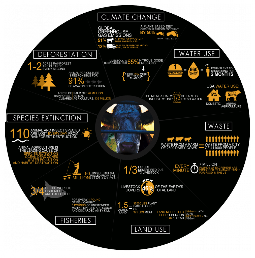 We All Saw How Damaging Last Year's Set Of Hurricanes - Cowspiracy Facts Clipart (1012x1024), Png Download