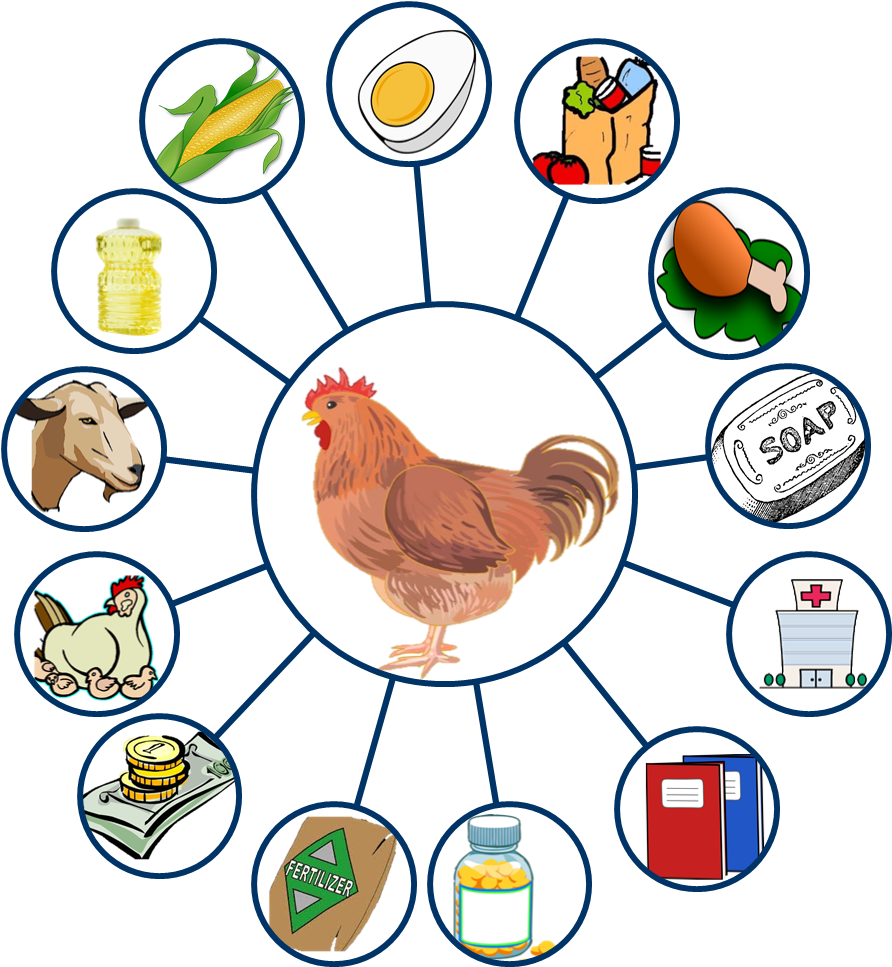 Land O'lakes Id - Chicken Clip Art Free - Png Download (1275x1024), Png Download