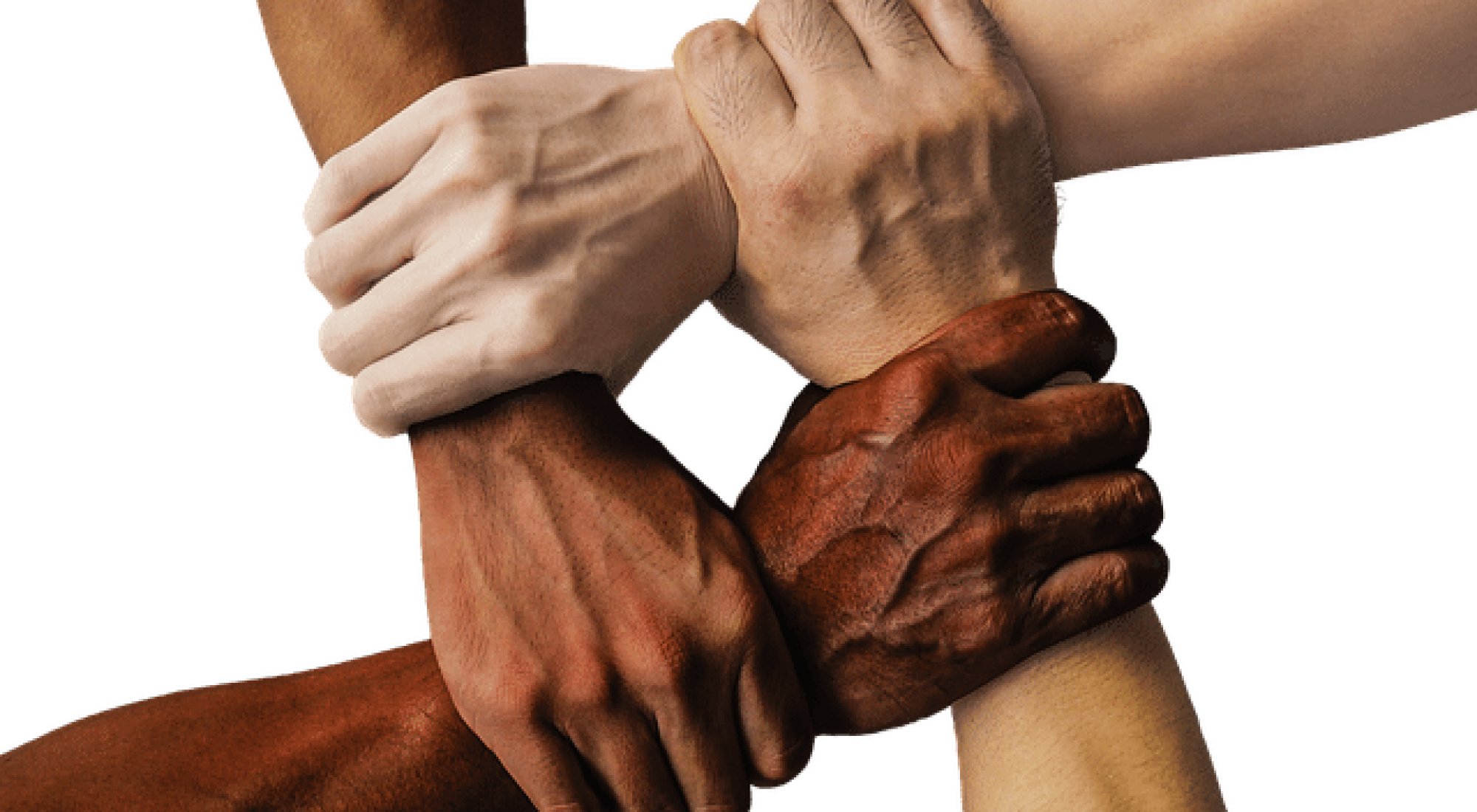There Are Many Times In My Life That I Can Think Back - United We Stand Divided We Fall Clipart (2000x1100), Png Download