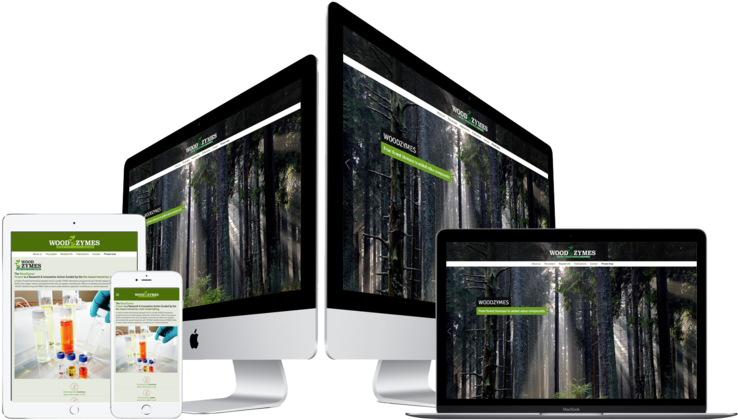 David Garcia Rincon Montaje Web Woodzymes-big - Imac Clipart (820x437), Png Download