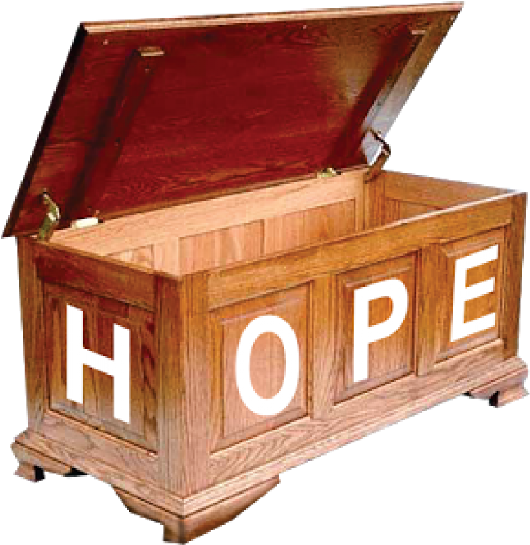 How To Use Familysearch Hope Chest - Plywood Clipart (780x780), Png Download