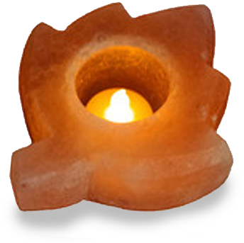 Leaf Shape Tealight Holder - Candle Clipart (559x559), Png Download