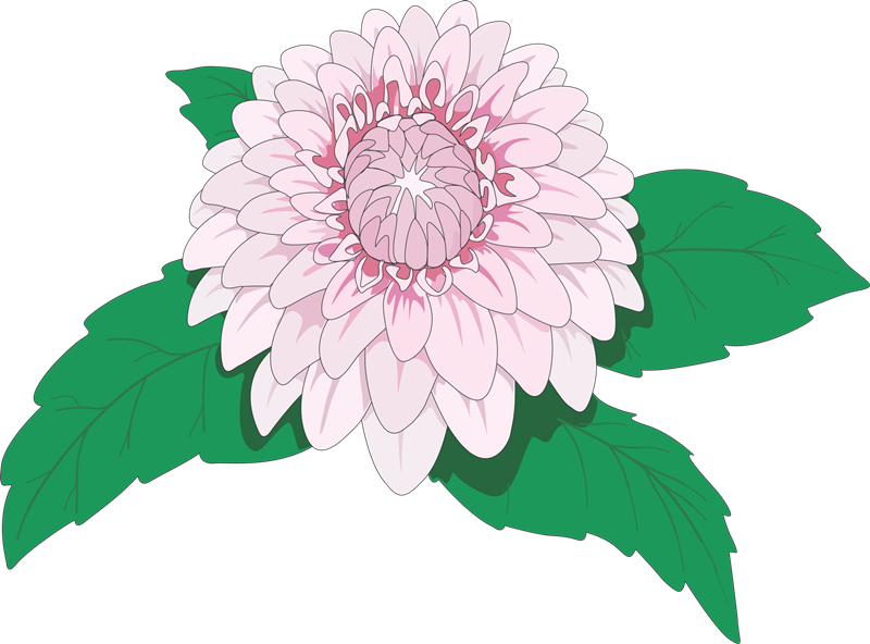 Flores Png Para Photoscape - Flower Clipart (800x592), Png Download