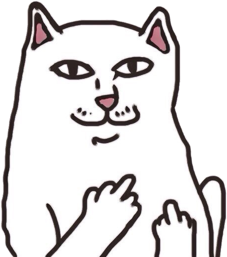 Cats We Heart It Png Clipart (604x604), Png Download