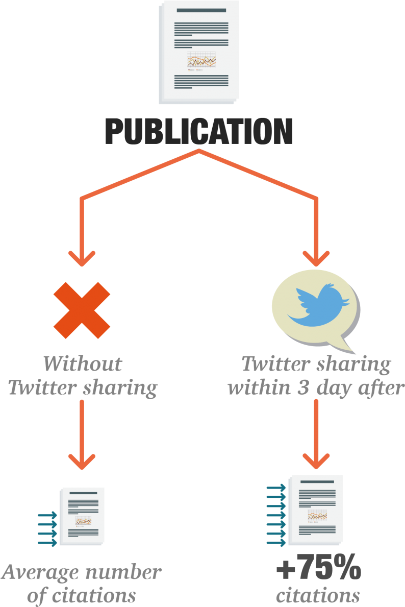 1549012382 - Colorfulness Clipart (793x1200), Png Download