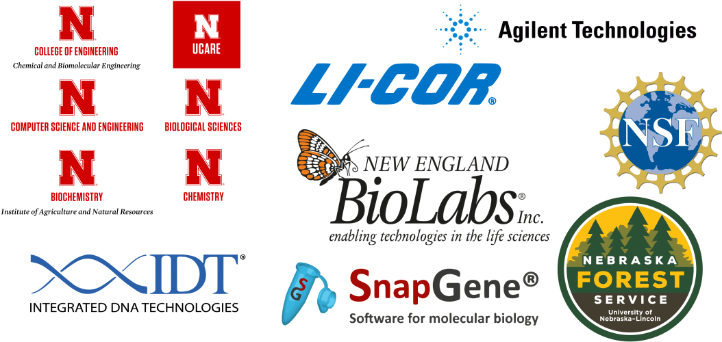 Thanks To Our Sponsors - Online Advertising Clipart (1087x504), Png Download