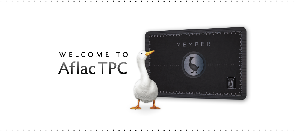 Contact - Duck Clipart (1059x481), Png Download