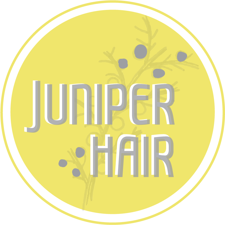 Juniper - Aquamarine The Movie Clipart (842x836), Png Download
