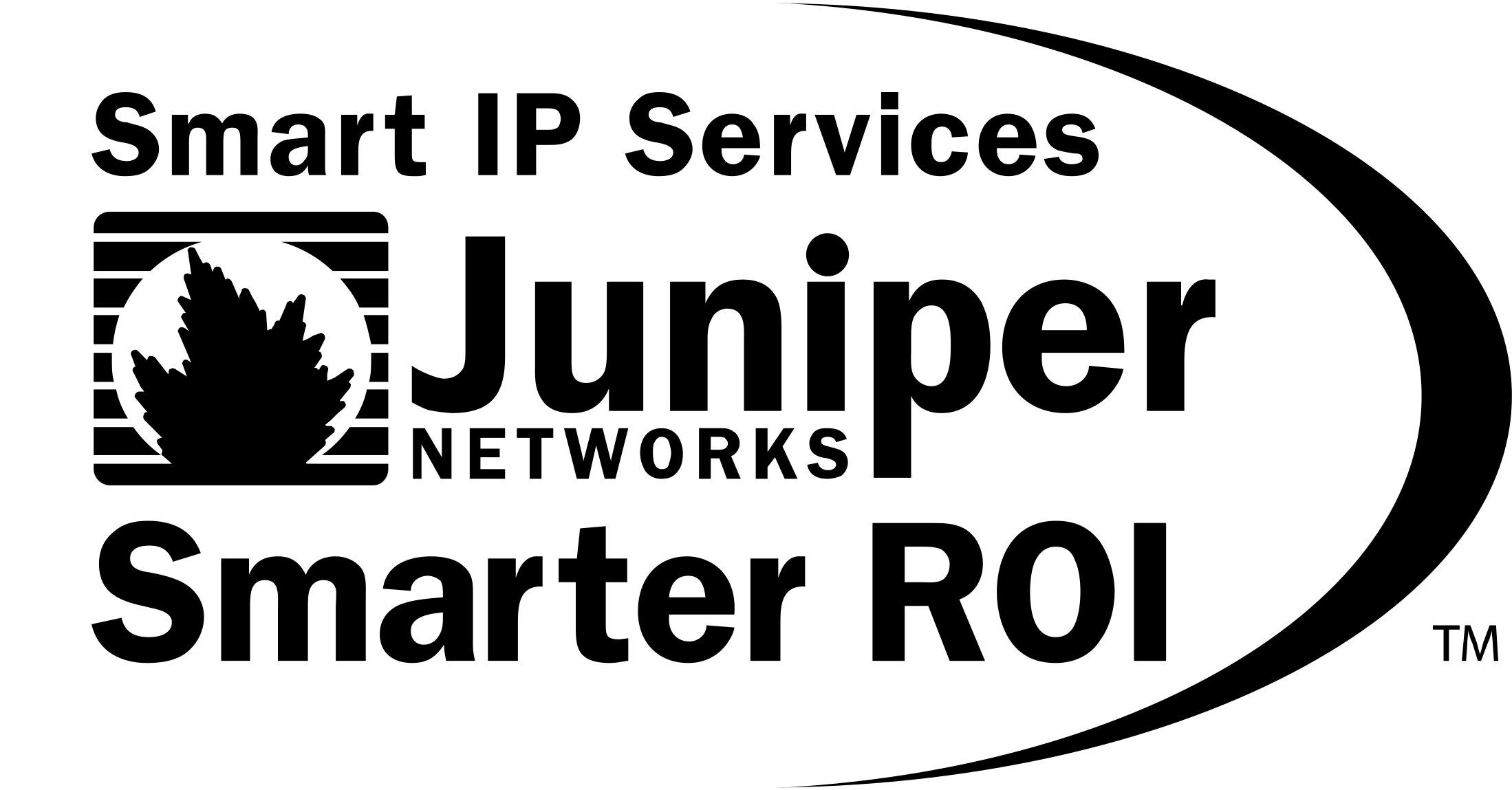 Smart Ip Services Smarter Roi Logo Png Transparent - Juniper Networks Clipart (2198x1149), Png Download