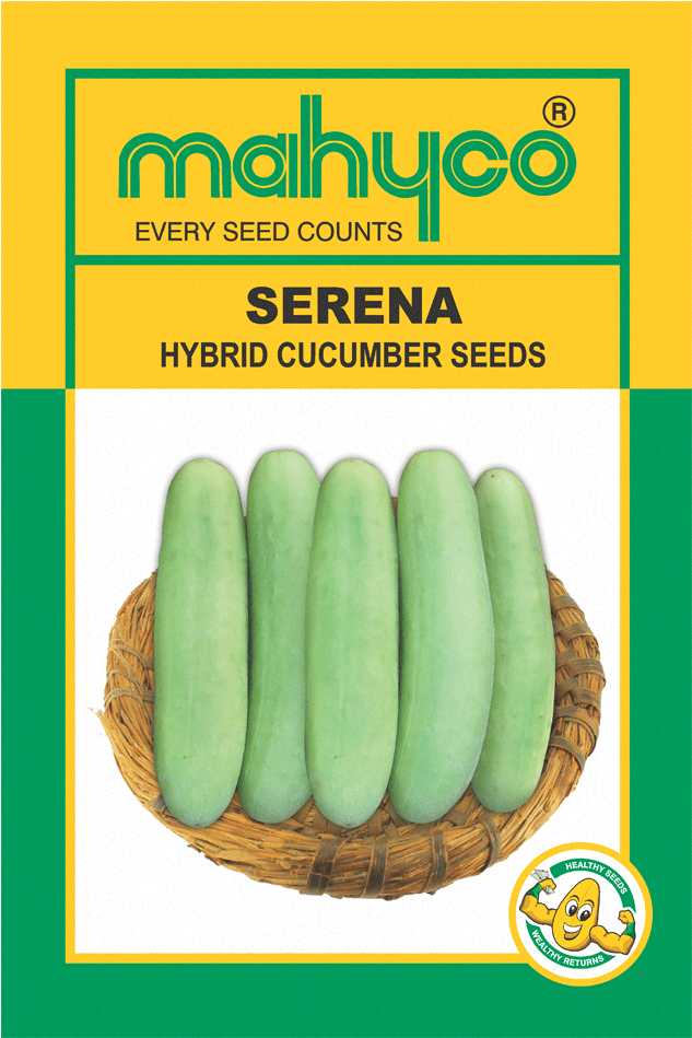 Mahy Serena - Mahyco Hybrid Chilli Seeds Tejaswini Clipart (1000x1000), Png Download