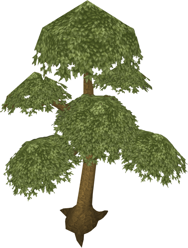 Image Result For Runescape Yew Tree - Yew Runescape Clipart (601x791), Png Download