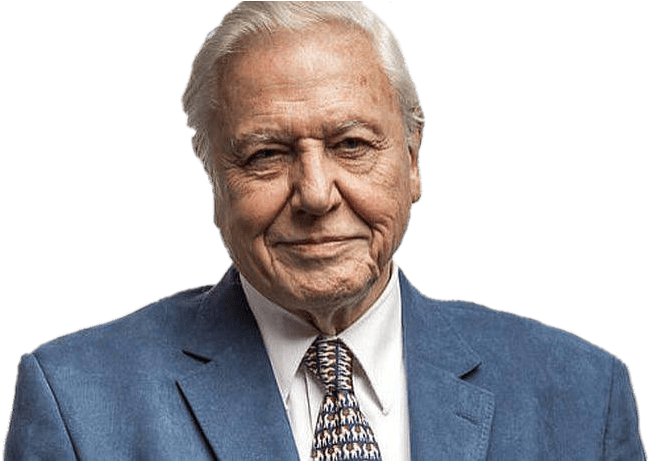 David Attenborough Portrait - David Attenborough Smiling Portrait Clipart (830x460), Png Download