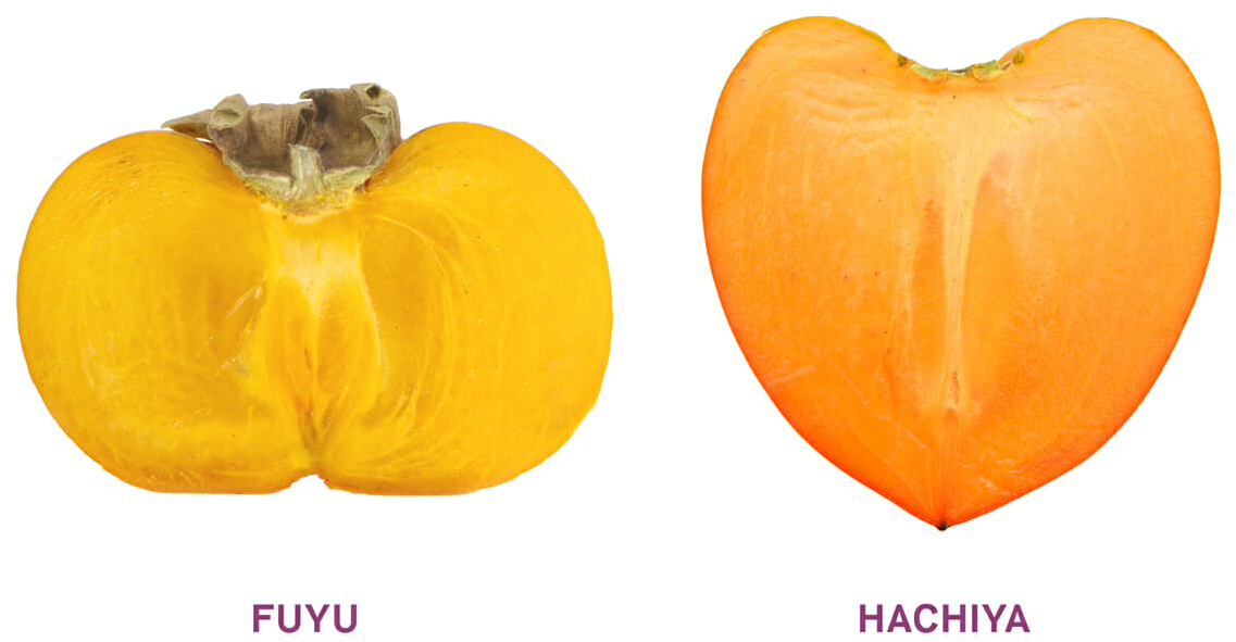 Two Persimmon Png Image - Pumpkin Clipart (1200x800), Png Download