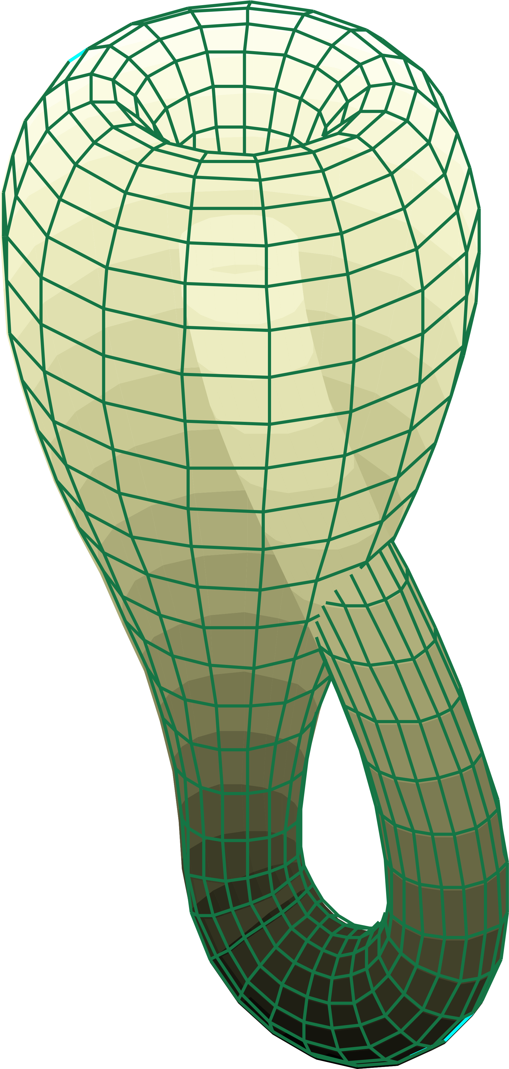 Mathematical Drawing Quantum Mechanic - Klein Bottle Png Clipart (2000x3840), Png Download