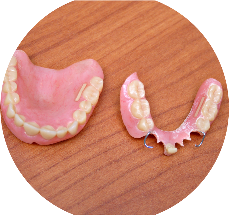 Dentures - Hardwood Clipart (750x750), Png Download