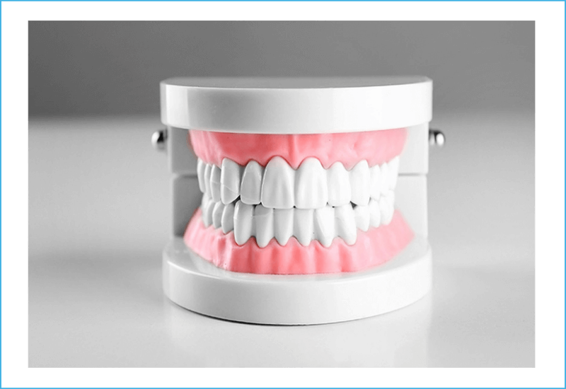 What - Tooth Clipart (800x550), Png Download