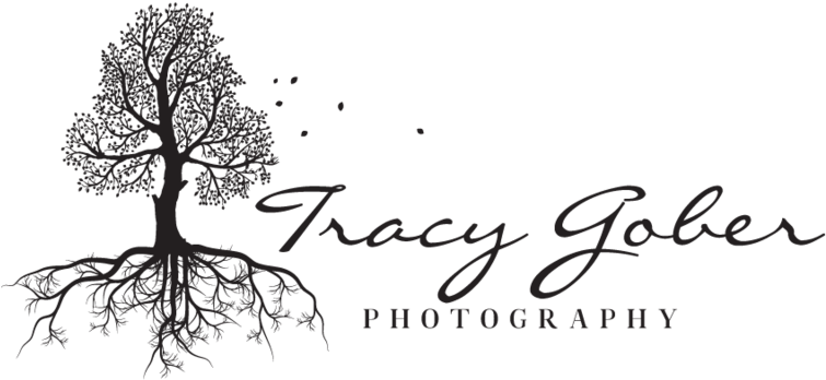 Png Watermarks Clipart (800x400), Png Download