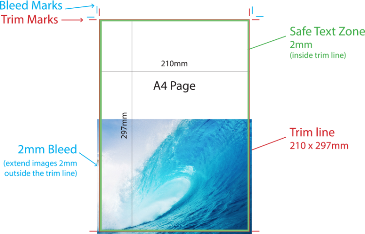 Surfing Clipart (750x481), Png Download