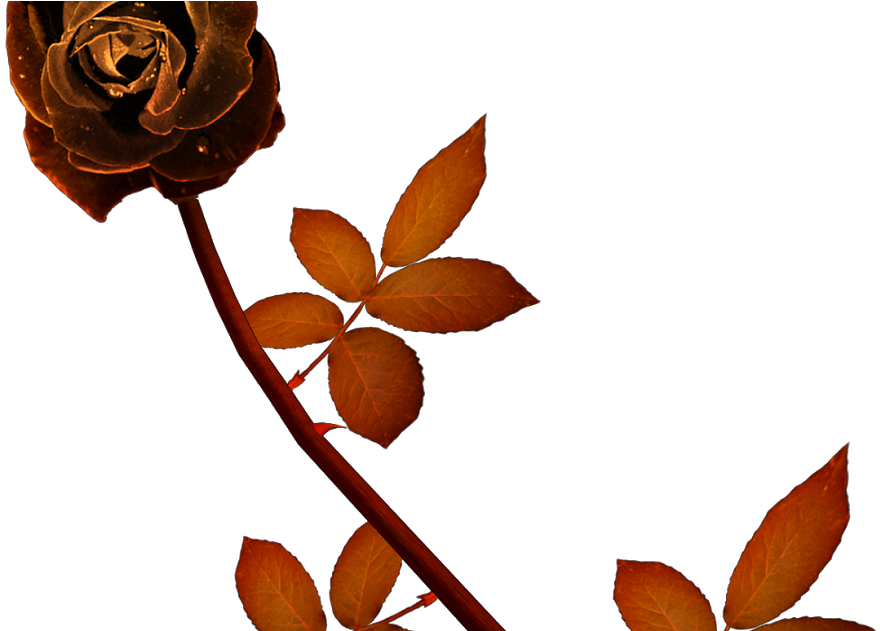Rose And Heart Clipart (1200x630), Png Download