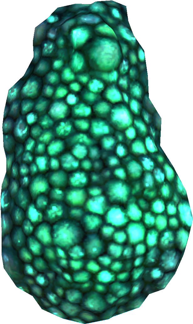 Subnautica Transparent Plants Clipart (1080x1080), Png Download