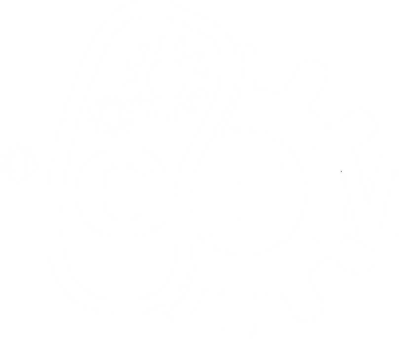Igem Logo - Igem White Clipart (849x688), Png Download