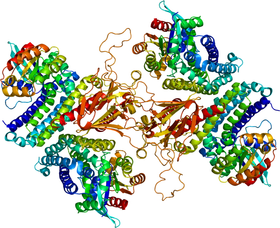 T Cell Lymphoma Invasion And Metastasis Inducing Protein - Tia 1 Protein Structure Clipart (960x792), Png Download