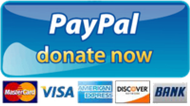 Paypal Donate Button Without Background Clipart (640x480), Png Download