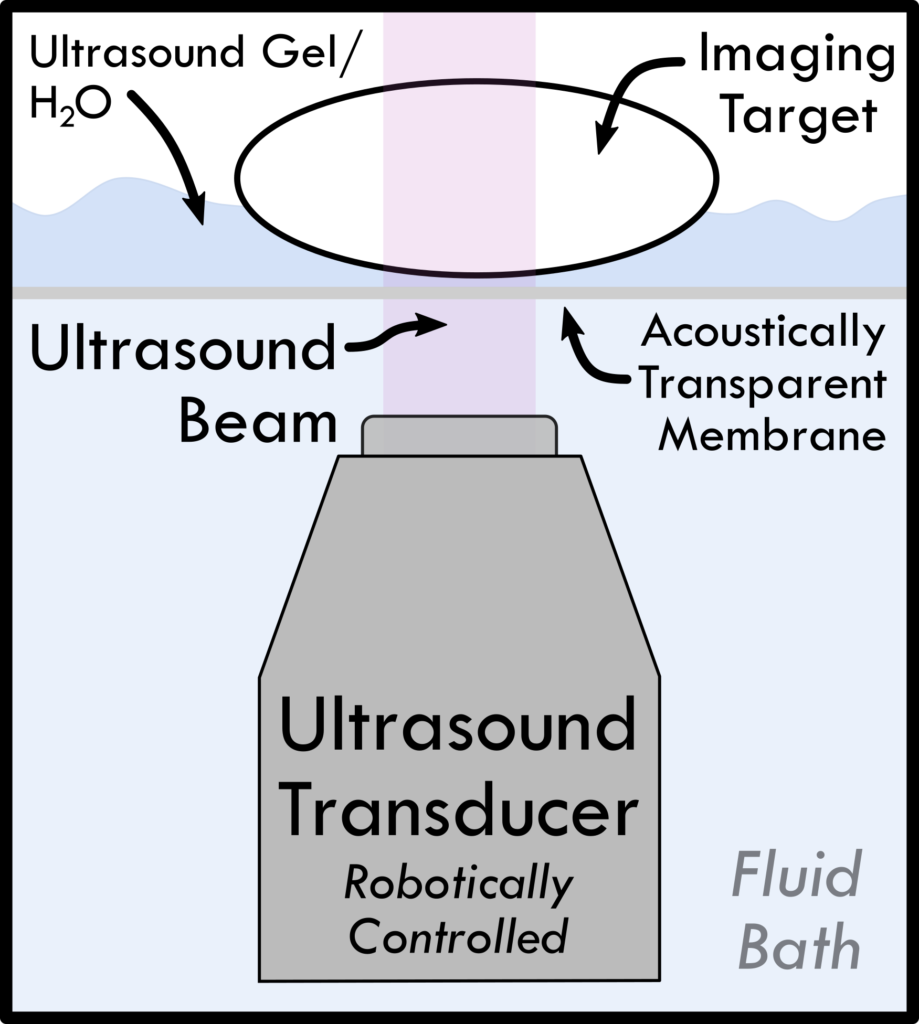 3d Ultrasound - Aei Clipart (919x1024), Png Download