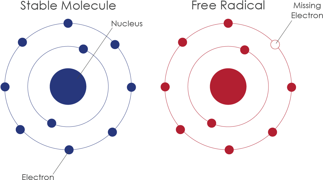 Circle Diagram Clipart (1444x606), Png Download