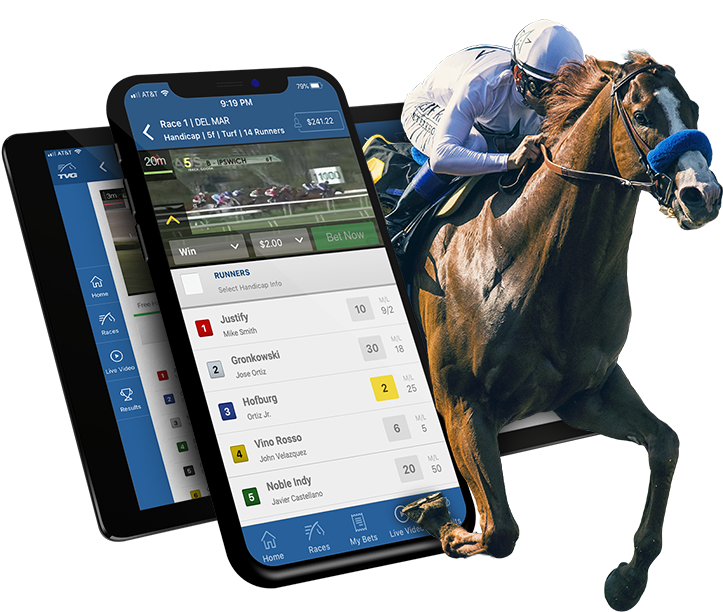 40/1 Odds On Any Horse To Win The Preakness 10 Fanduel Horse Racing