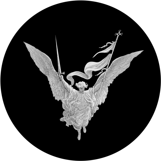 Battle Angel - Accipitriformes Clipart (800x800), Png Download