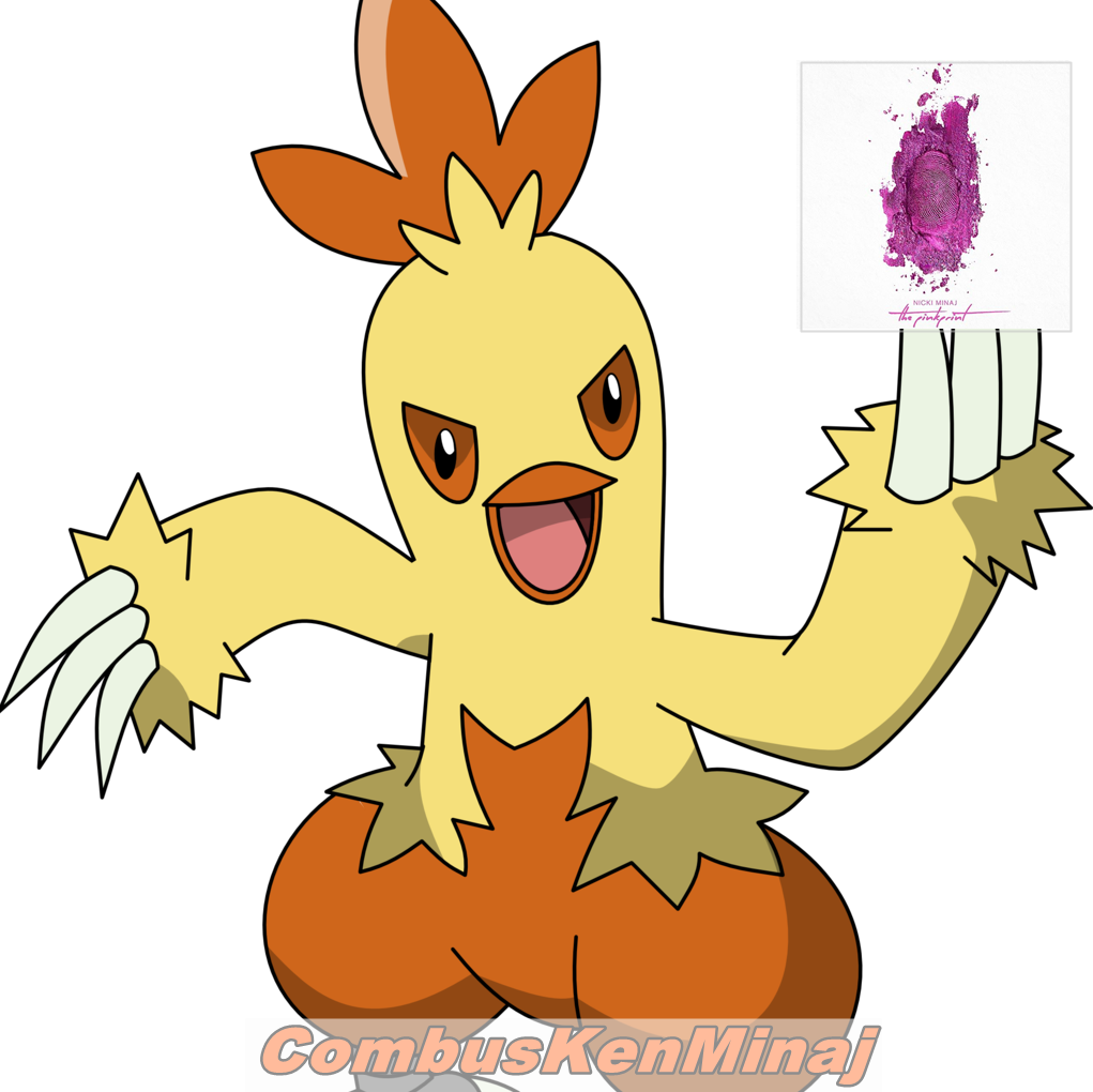 Pokemon Las Evoluciones De Torchic Clipart (1021x1020), Png Download