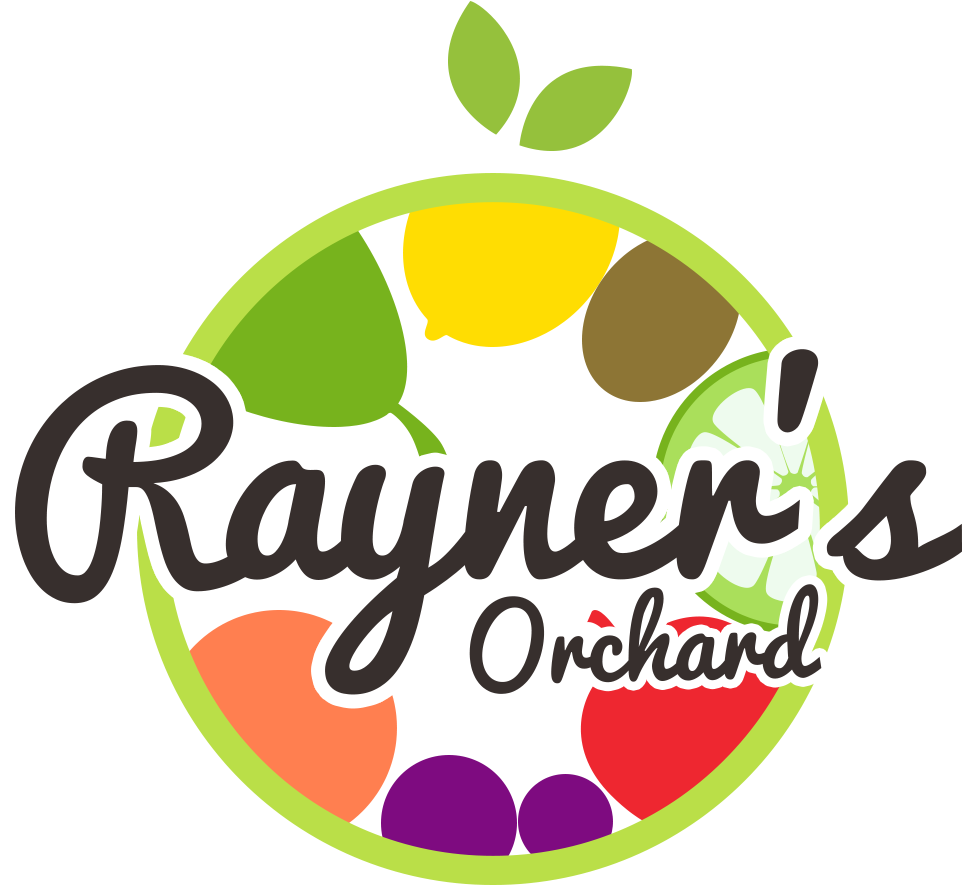 Orchard Tours - Rayners Stone Fruit Orchard Clipart (1000x974), Png Download
