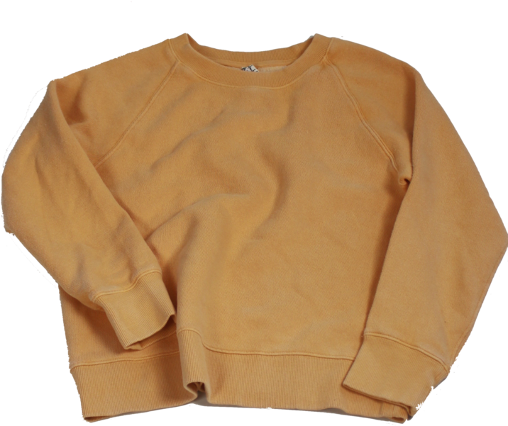 Free People Vintage Crop Pullover - Sweater Clipart (732x1024), Png Download