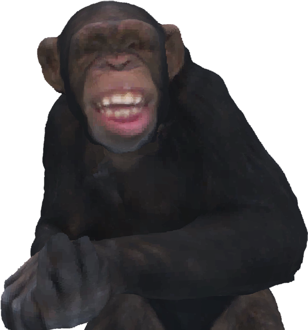 Oh No - Common Chimpanzee Clipart (960x720), Png Download
