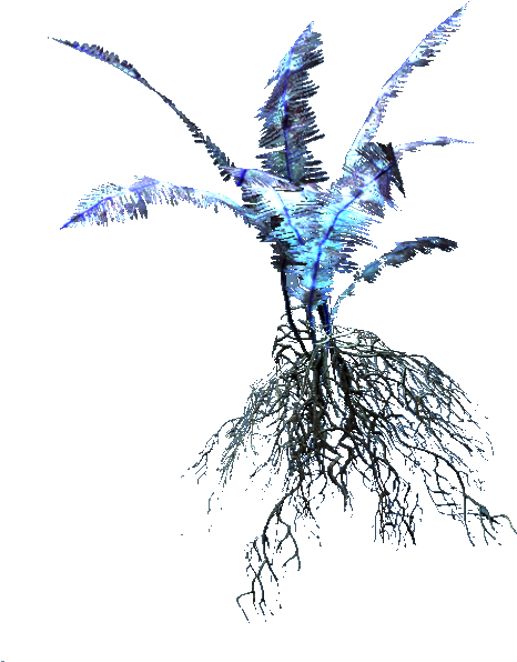 Suspiciously Familar Plant - Sketch Clipart (661x633), Png Download