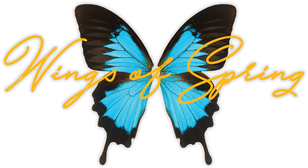 A Celebration Of Literacy - Black Blue Butterfly Png Clipart (1200x600), Png Download