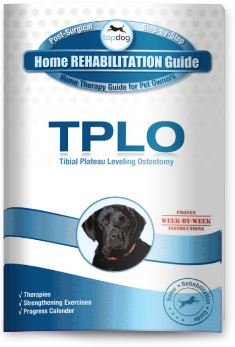 Download Tplo Guide - Companion Dog Clipart (481x685), Png Download