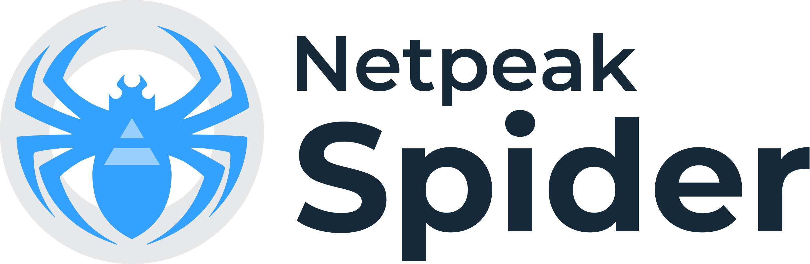 Netpeak Spider - Circle Clipart (2786x908), Png Download