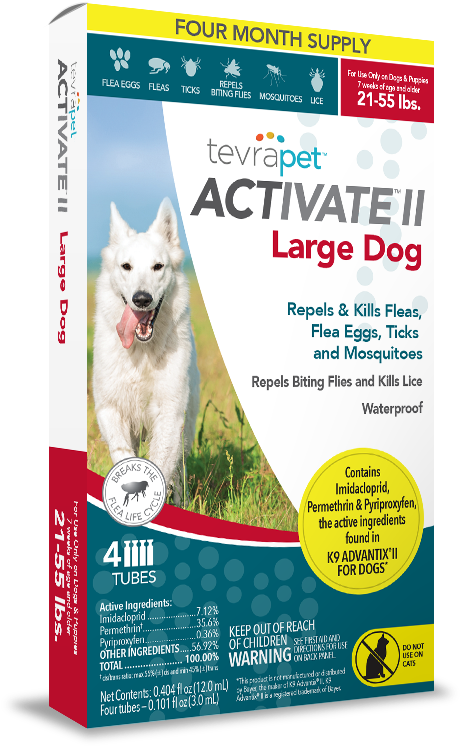 Related Products - Dog Clipart (812x902), Png Download