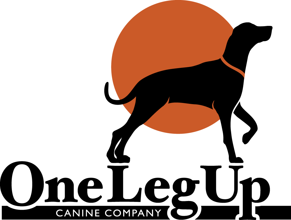 Dog Catches Something Clipart (1011x765), Png Download