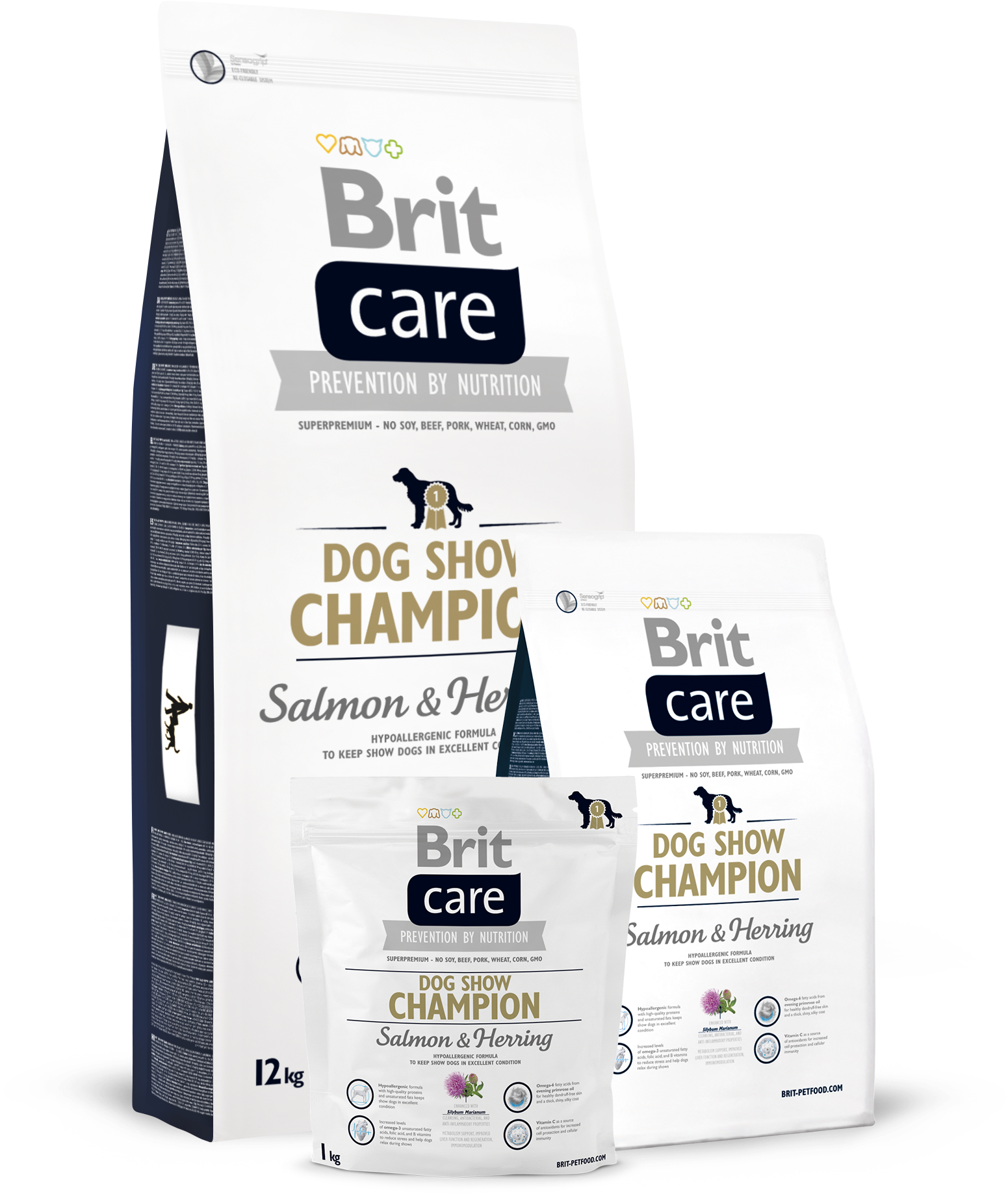 Brit Care Dog Show Champion - Kitten Clipart (1595x2126), Png Download